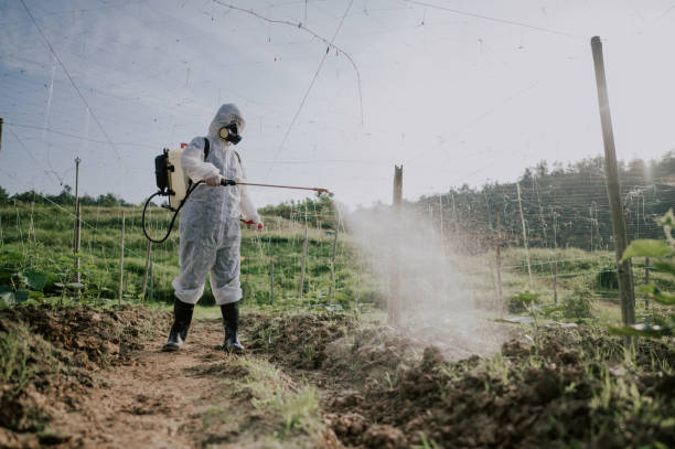 Reliable La Huerta, NM Pest Control Solutions