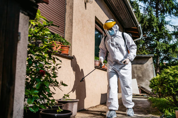 Best Pest Control Near Me  in La Huerta, NM
