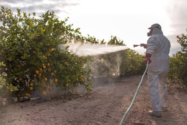 Best Exterminator Services  in La Huerta, NM