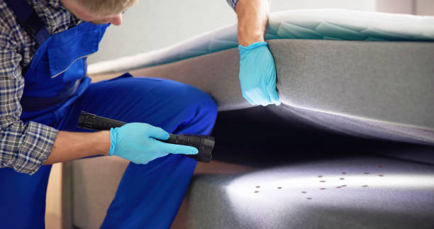 Best Pest Inspection Near Me  in La Huerta, NM