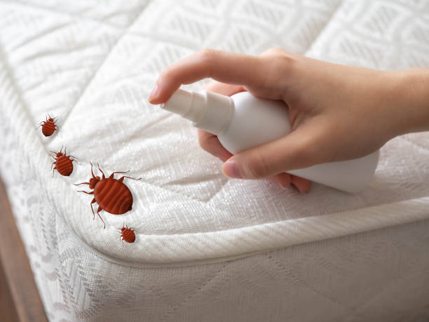 Best Best Pest Control Companies  in La Huerta, NM