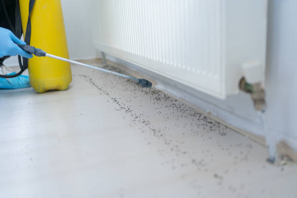 Best Mosquito Control Services  in La Huerta, NM